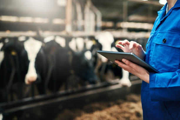 istock An important tool in the farming process 1185843588