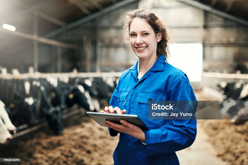 Old school farming meets new school technology Shot of a young woman using a digital tablet while working at a cow farm Coveralls Stock Photo