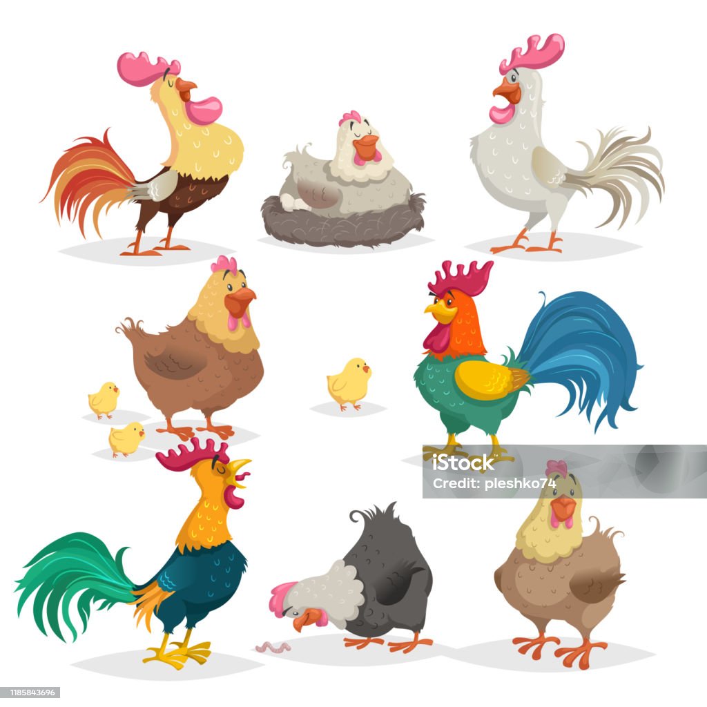 Ilustración de Lindos Pollos De Dibujos Animados Gallos Y Gallinas En Diferentes Poses Pequeñas Pollitas Recolección De Aves De Granja Y Animales Ilustraciones Vectoriales En Estilo Cómico y más Vectores Libres de Ilustración de Lindos Pollos De Dibujos Animados Gallos Y Gallinas En Diferentes Poses Pequeñas Pollitas Recolección De Aves De Granja Y Animales Ilustraciones Vectoriales En Estilo Cómico y más Vectores Libres de