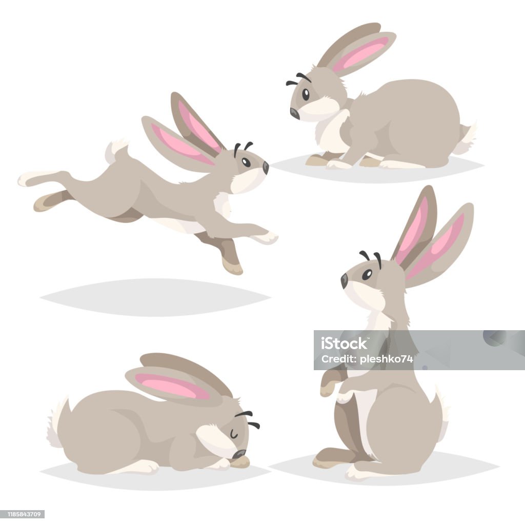 Ilustración de Lindo Conjunto De Conejos De Dibujos Animados Diferentes Poses Granja Y Colección De Animales Salvajes Sentarse Correr Dormir Y Quedarse Poses Estilo Cómico Ilustraciones Vectoriales y más Vectores Libres de Ilustración de Lindo Conjunto De Conejos De Dibujos Animados Diferentes Poses Granja Y Colección De Animales Salvajes Sentarse Correr Dormir Y Quedarse Poses Estilo Cómico Ilustraciones Vectoriales y más Vectores Libres de