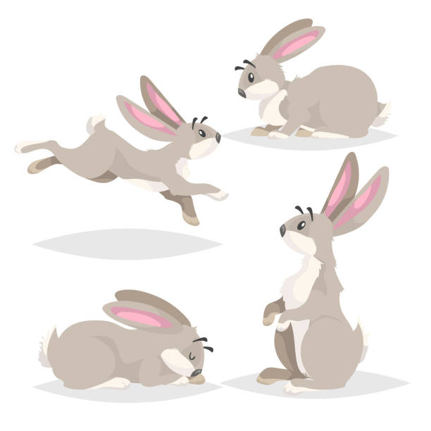 ilustrações de stock, clip art, desenhos animados e ícones de cute cartoon rabbits set. different poses farm and wild animals collection. sitting, running, sleeping and staying poses. comic style. vector illustrations. - hare