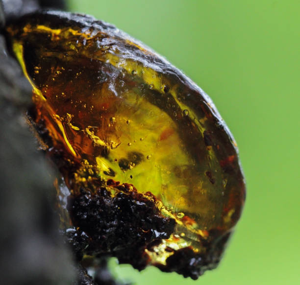 istock Natural beautiful resin with green background 1185843953