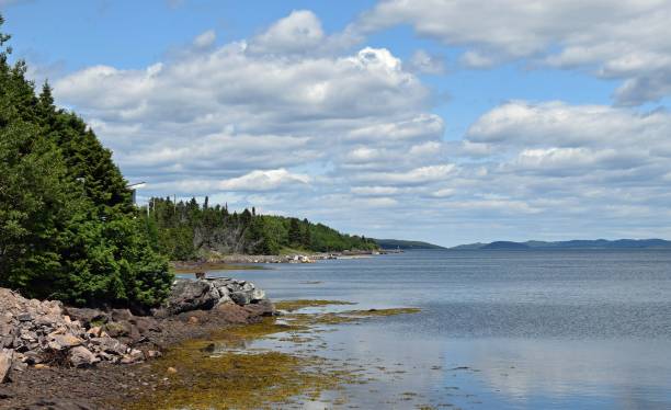 istock Bonavista Peninsula coastal landscape 1185849747