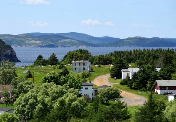 istock Duranta Bonavista Peninsula 1185849810