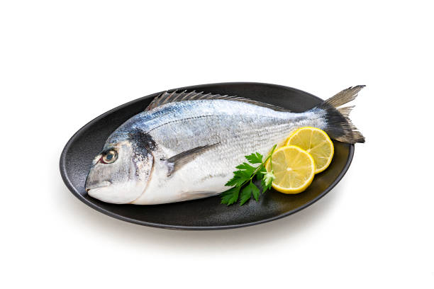 istock Raw sea bream isolated on white background 1185850521