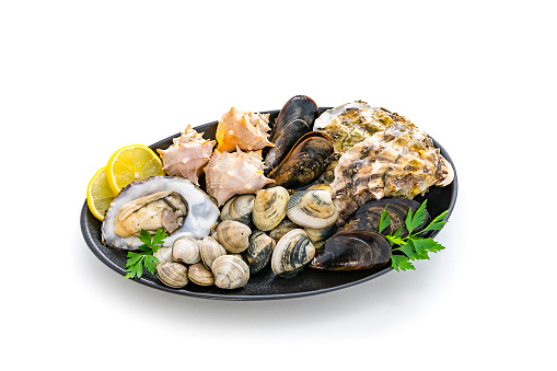 High angle view of different fresh mollusks in a black plate isolated on white background. The composition includes oysters, clams and mussels. Predominant colors are black, brown and white. XXXL 42Mp studio photo taken with Sony A7rii and Sony FE 90mm f2.8 macro G OSS lens