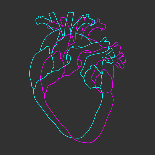 istock Neon blue and purple synthwave human heart line on dark grey background 1185851311