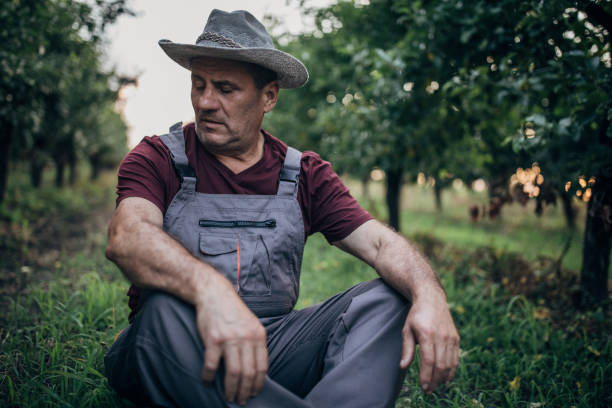 istock Senior farmer resting in orchard 1185851734