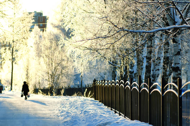 fence covered snow winter park