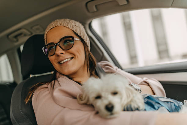 istock One woman sitting and playing with dog 1185857756
