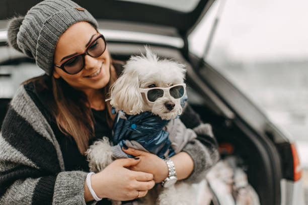 istock One woman sitting and playing with dog 1185857771