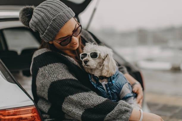 istock One woman sitting and playing with dog 1185857882