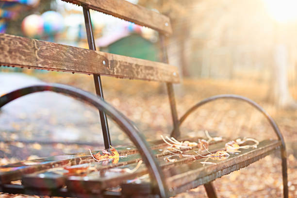 istock Autumn rain in the park 1185858585