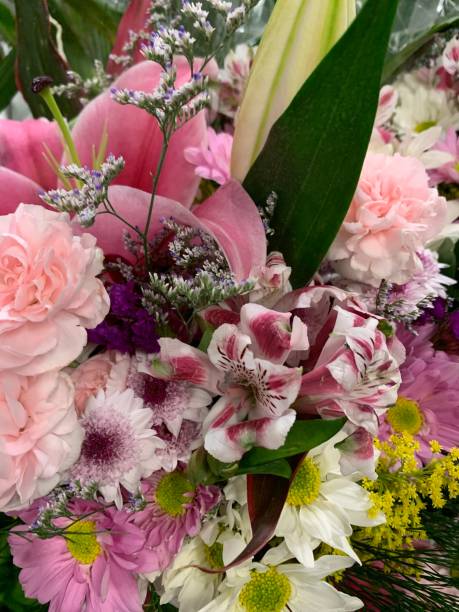istock Pink flowers 1185858676
