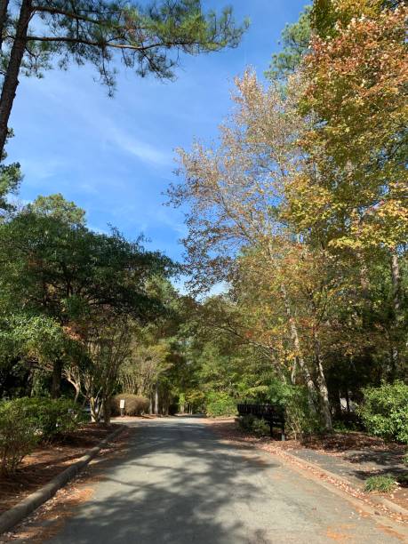 istock Road of life 1185858997