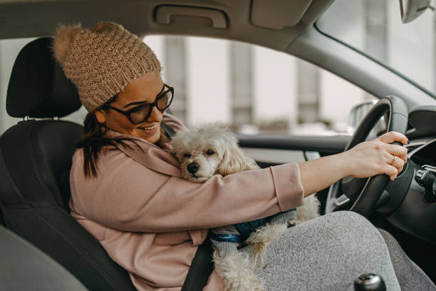 istock One woman sitting and playing with dog 1185859119