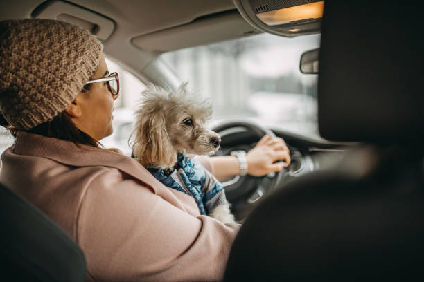 istock One woman sitting and playing with dog 1185859268