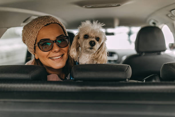 istock One woman playing with her dog 1185859895