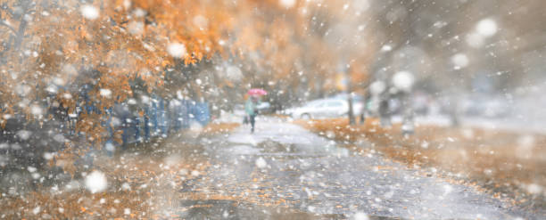 istock Background autumn park in the first snow 1185860032