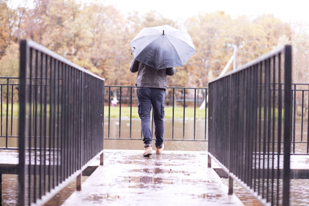 istock Autumn rainy park in October 1185860267