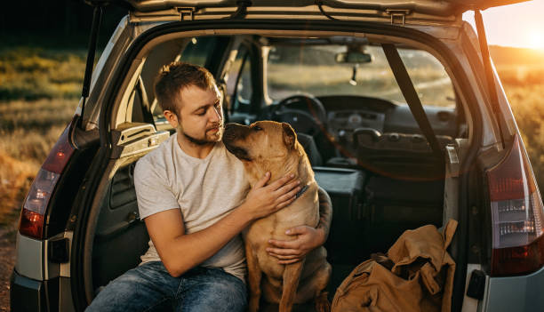 istock Spending day with dog in nature 1185860504
