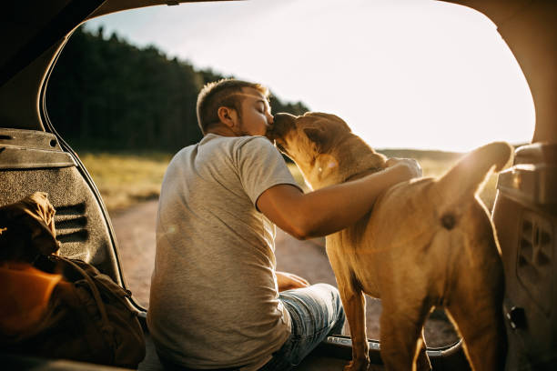 istock Spending day with dog in nature 1185860700