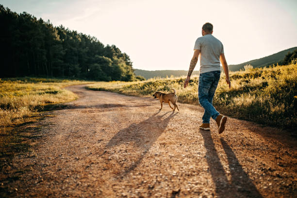 istock Spending day with dog in nature 1185860704