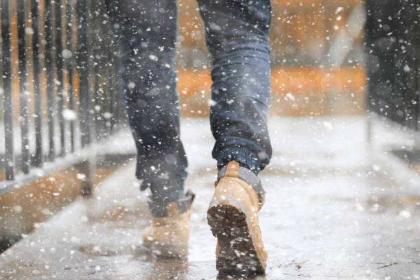 istock Autumn park in the first snow 1185861512