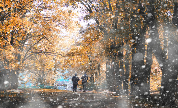 istock Autumn park in the first snow 1185861730