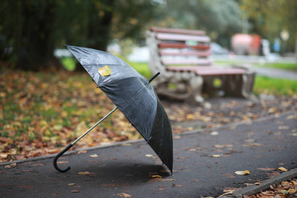 istock Autumn background in the park 1185861920