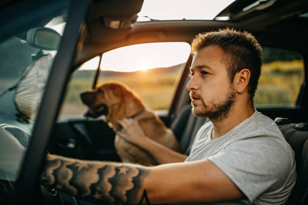 trascorrere la giornata con il cane in natura - 2999 foto e immagini stock