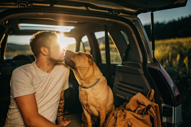 istock Spending day with dog in nature 1185862618