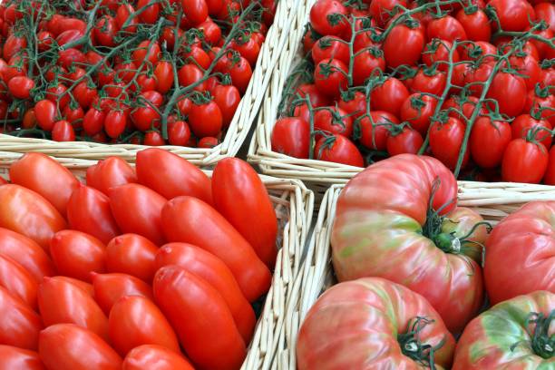 istock organic tomatoes for sale 1185862741