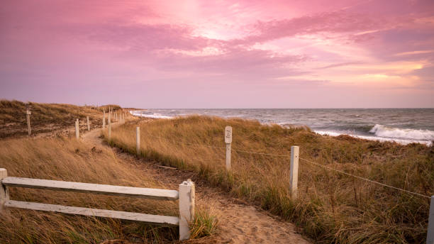 istock Sandy coastal beach trail at sunset 1185864116