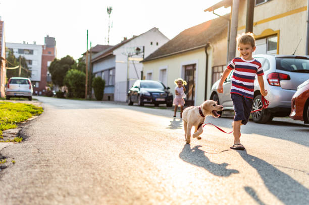 istock We are best friends! 1185864227