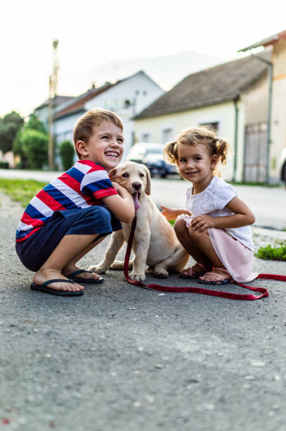 istock We are best friends! 1185864338