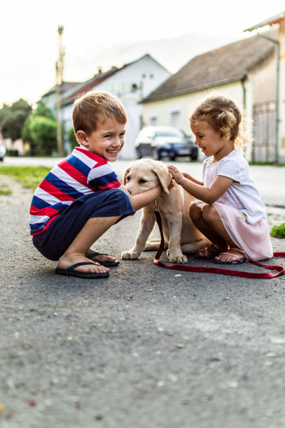 istock We are best friends! 1185864793