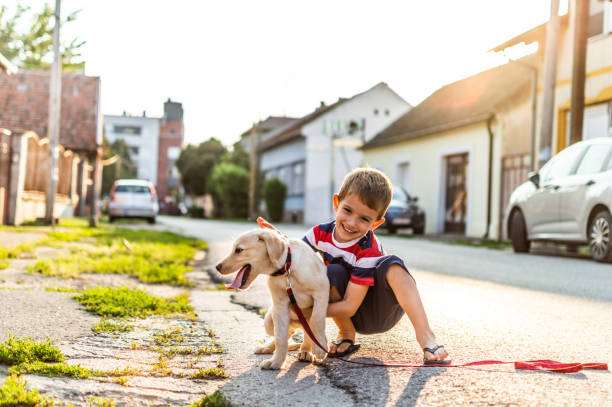 istock We are best friends! 1185864931