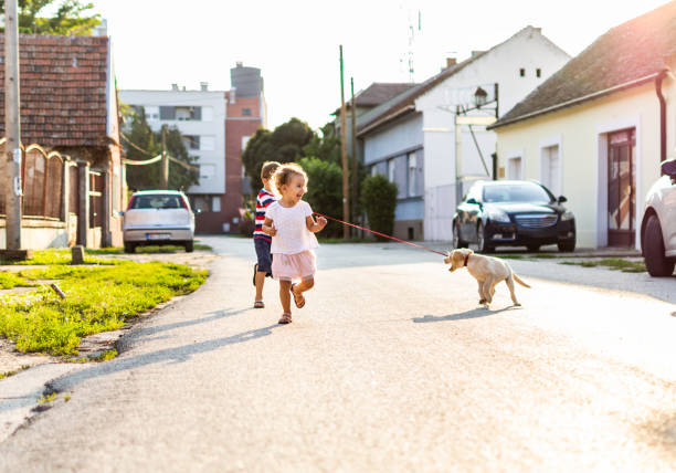 istock We are best friends! 1185864955
