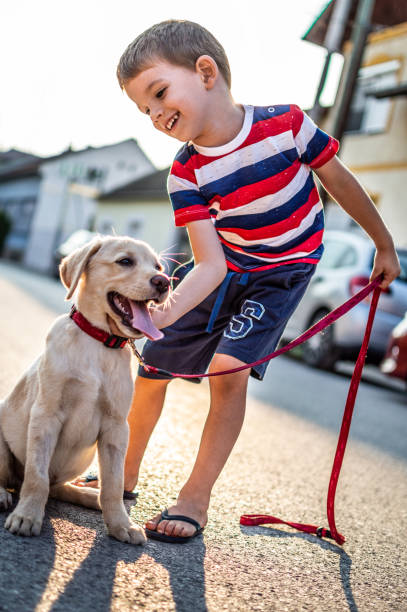 istock We are best friends! 1185865523