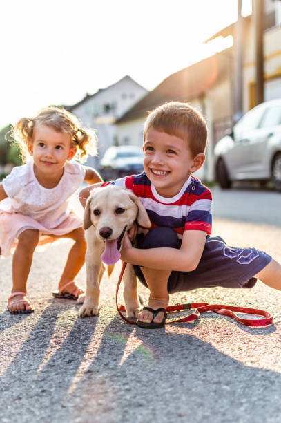 Beautiful kids playing with their puppy. Boy and girl are on the street on sunset with small Labrador.