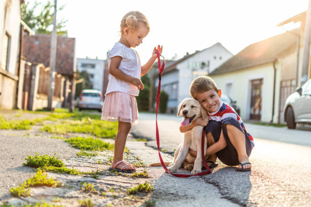 istock We are best friends! 1185865730