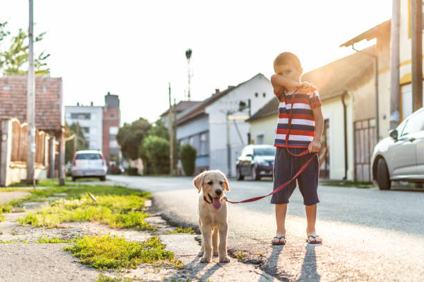 istock We are best friends! 1185865822