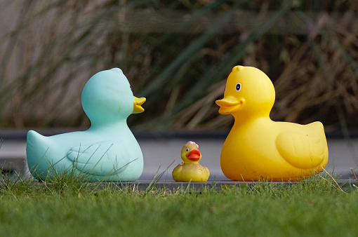 Colorful decoration plastic duck family