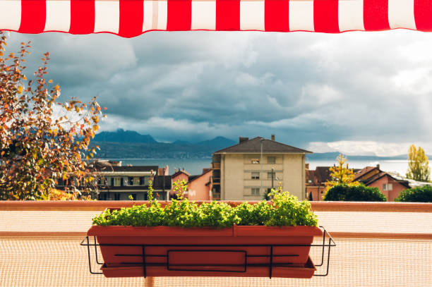 Bright and cozy balcony with many potted plants