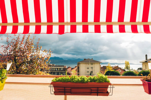 istock Bright and cozy balcony with many potted plants 1185869204