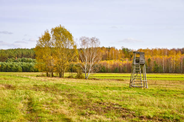 Autumn landscape with a hunting tower on a field.