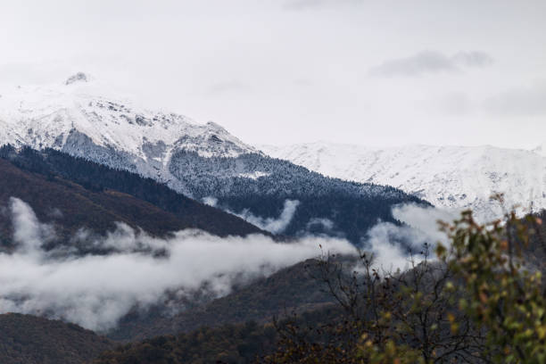 istock Fog in the mountains 1185874349