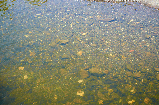 Bottom of a shallow river, with stones and pebbles