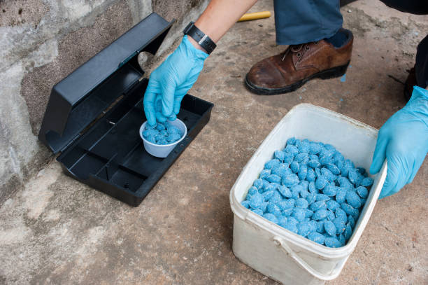 istock Get rid of rat using  bait poison box, pest control in industry. 1185879721